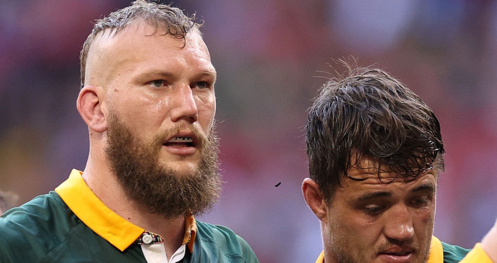 The Springboks are not just ‘huge mutants’