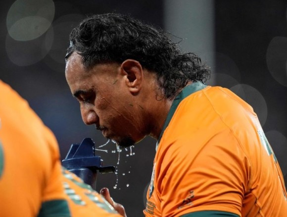 Wallabies player ratings vs Portugal | Rugby World Cup 2023