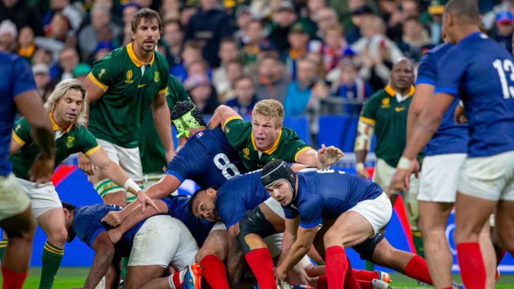 ‘Merited a red card’: Romain Poite says South Africa star escaped sending off