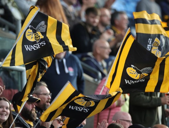 Wasps ‘actively engaged’ in process of setting up a permanent home