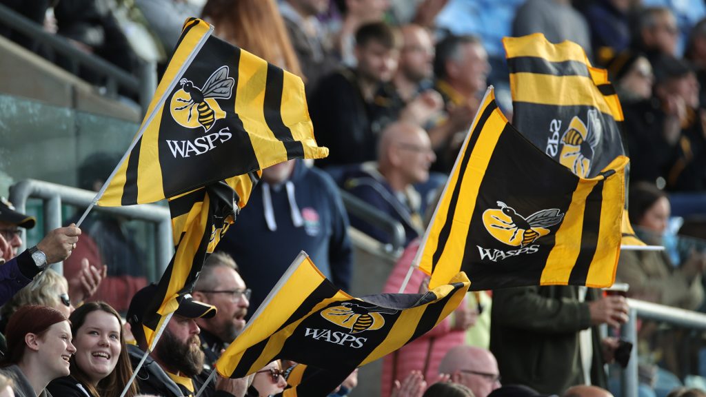 Wasps ‘actively engaged’ in process of setting up a permanent home
