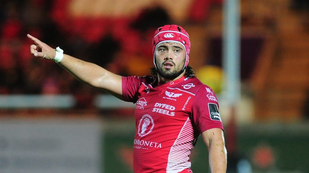Scarlets captain Macleod out for season with cover already recruited